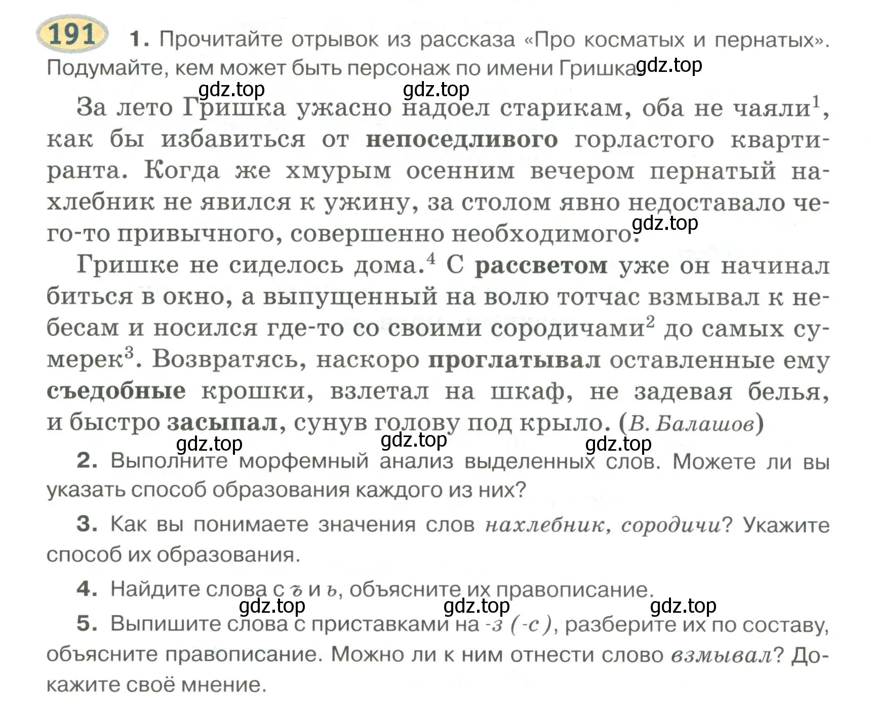 Условие номер 191 (страница 156) гдз по русскому языку 6 класс Быстрова, Кибирева, учебник 1 часть