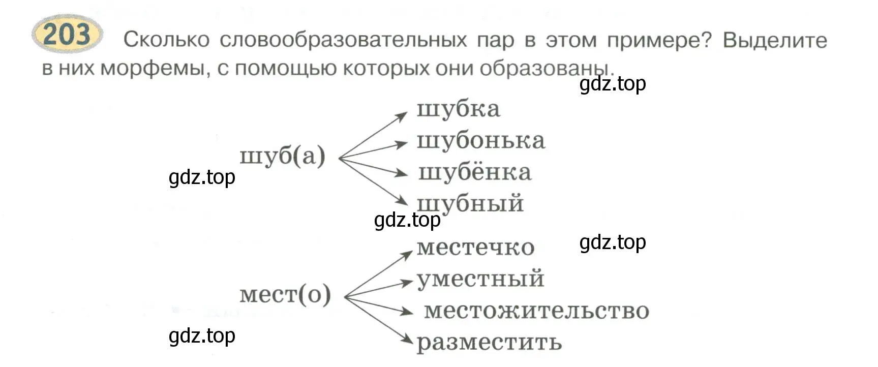 Условие номер 203 (страница 165) гдз по русскому языку 6 класс Быстрова, Кибирева, учебник 1 часть