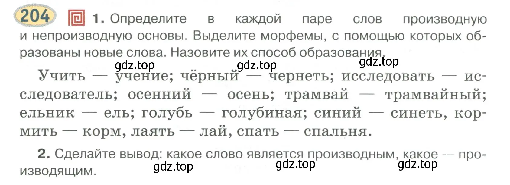 Условие номер 204 (страница 165) гдз по русскому языку 6 класс Быстрова, Кибирева, учебник 1 часть