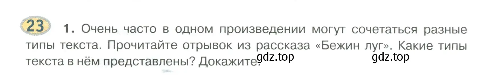 Условие номер 23 (страница 24) гдз по русскому языку 6 класс Быстрова, Кибирева, учебник 1 часть