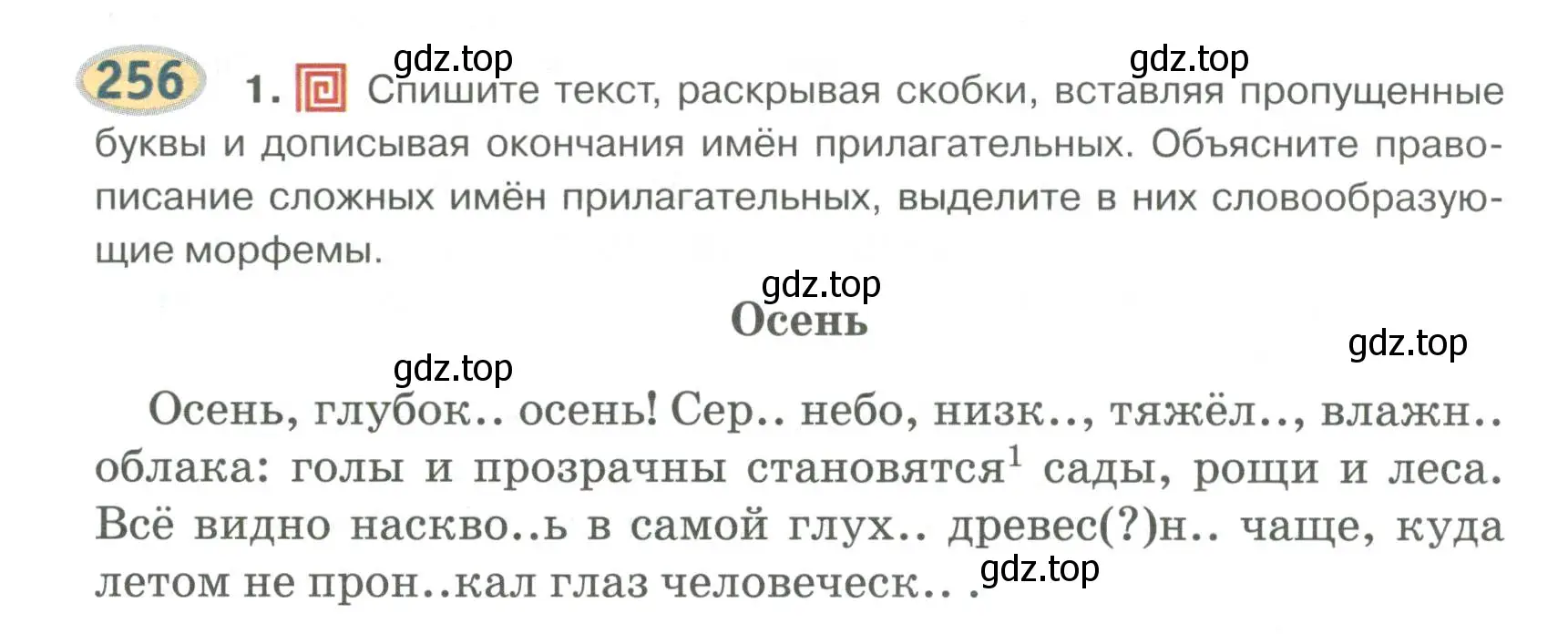 Условие номер 256 (страница 204) гдз по русскому языку 6 класс Быстрова, Кибирева, учебник 1 часть