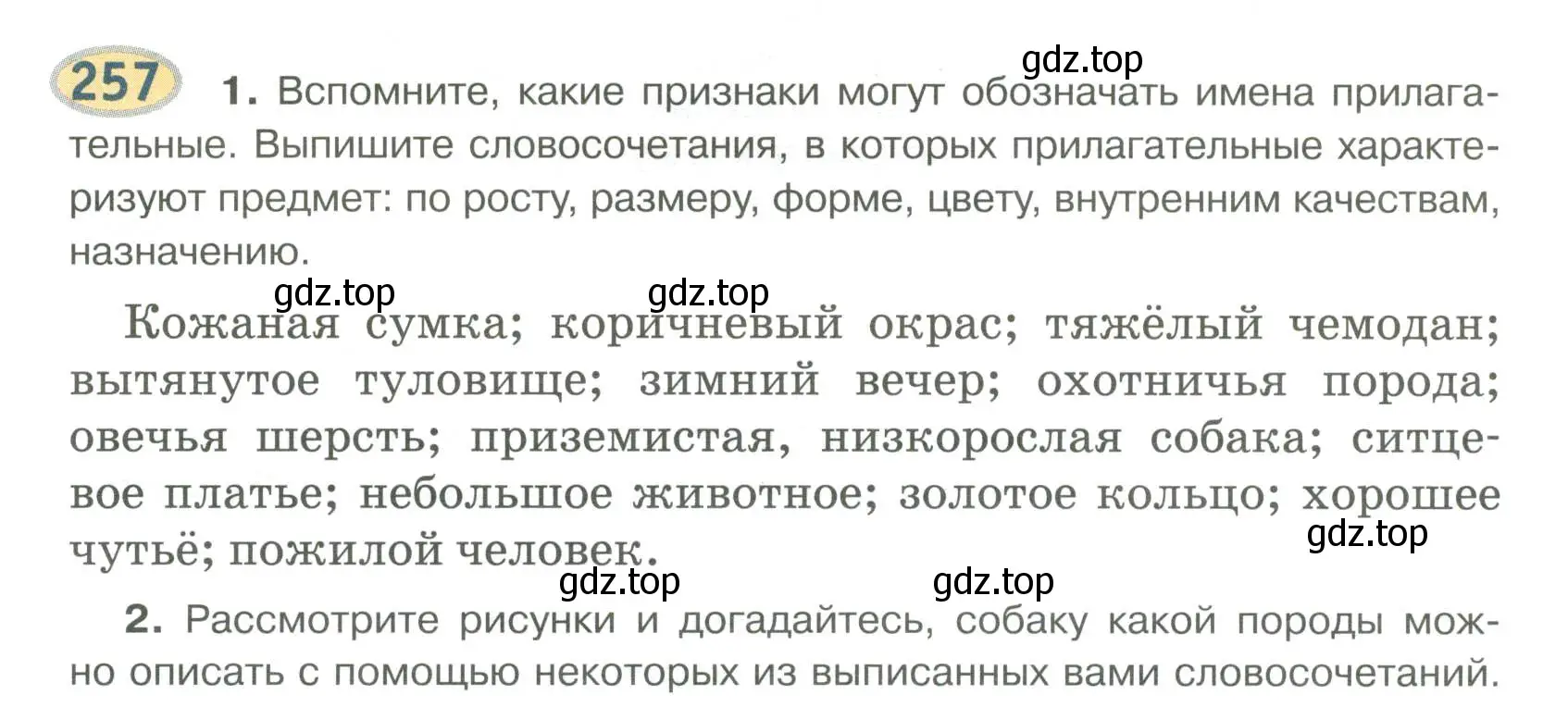 Условие номер 257 (страница 205) гдз по русскому языку 6 класс Быстрова, Кибирева, учебник 1 часть