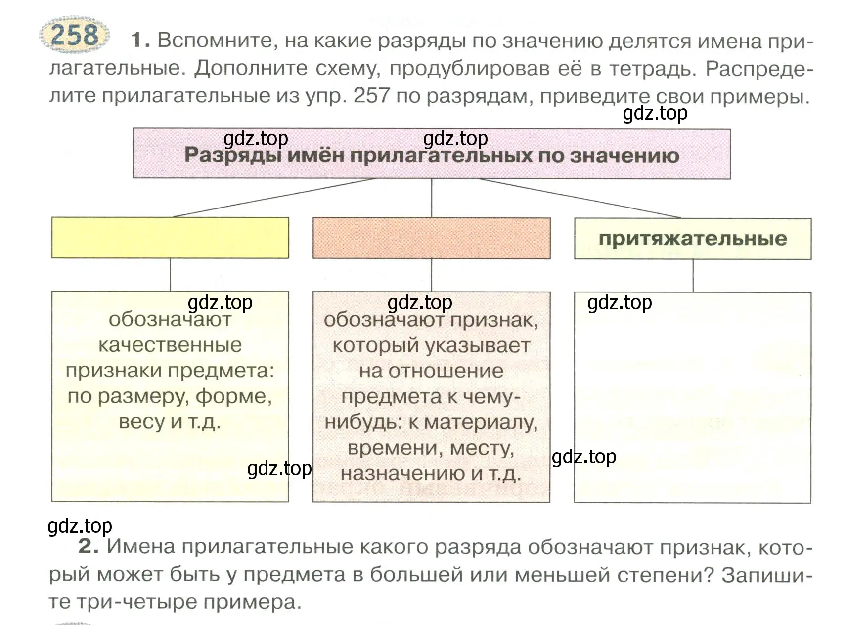 Условие номер 258 (страница 206) гдз по русскому языку 6 класс Быстрова, Кибирева, учебник 1 часть