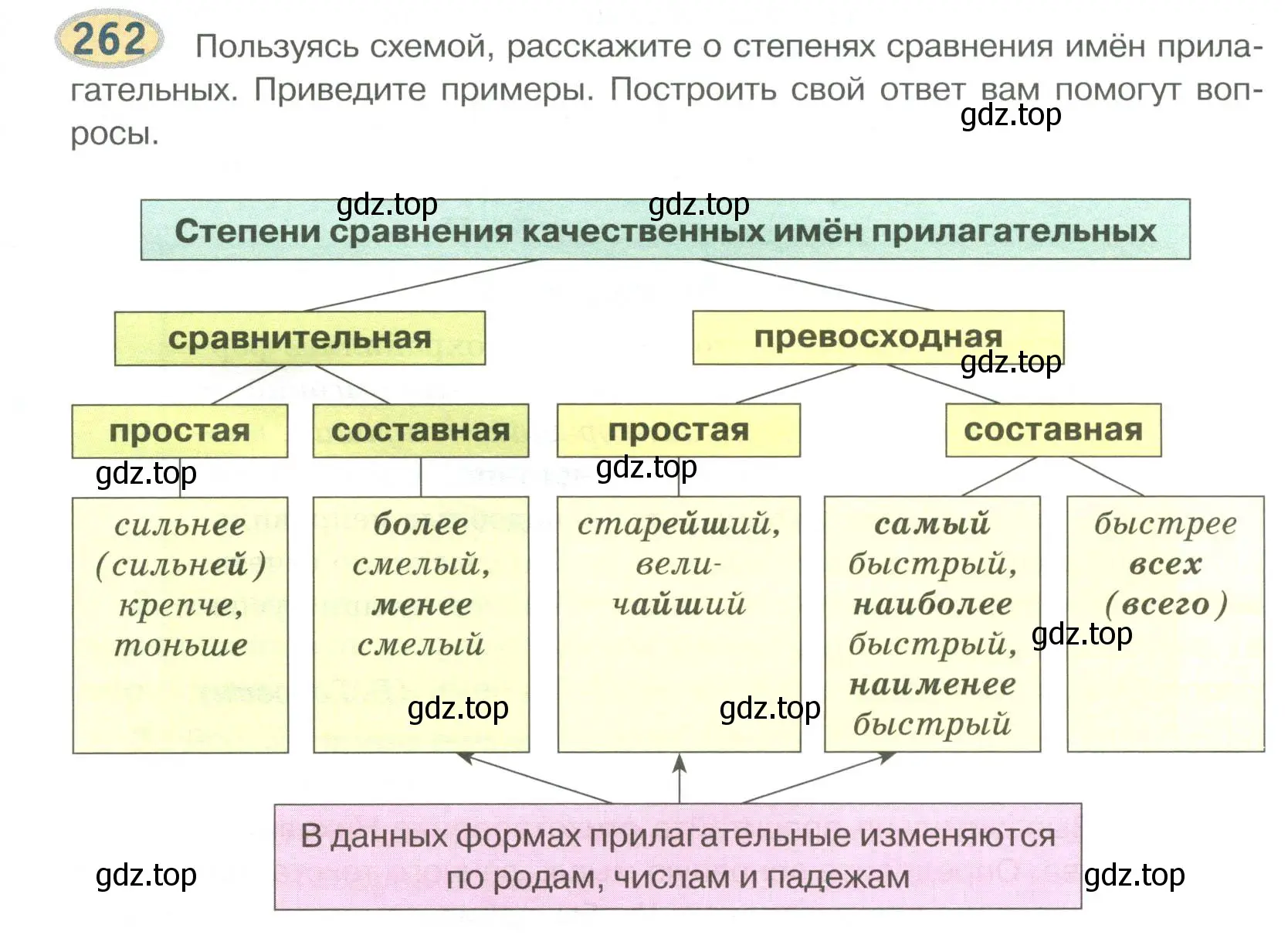 Условие номер 262 (страница 209) гдз по русскому языку 6 класс Быстрова, Кибирева, учебник 1 часть