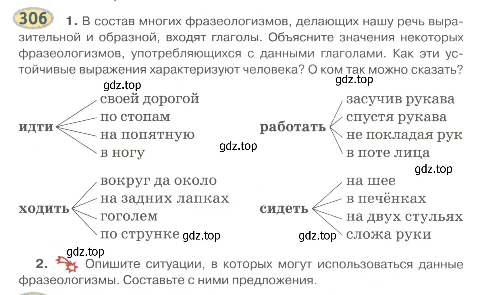 Условие номер 306 (страница 240) гдз по русскому языку 6 класс Быстрова, Кибирева, учебник 1 часть