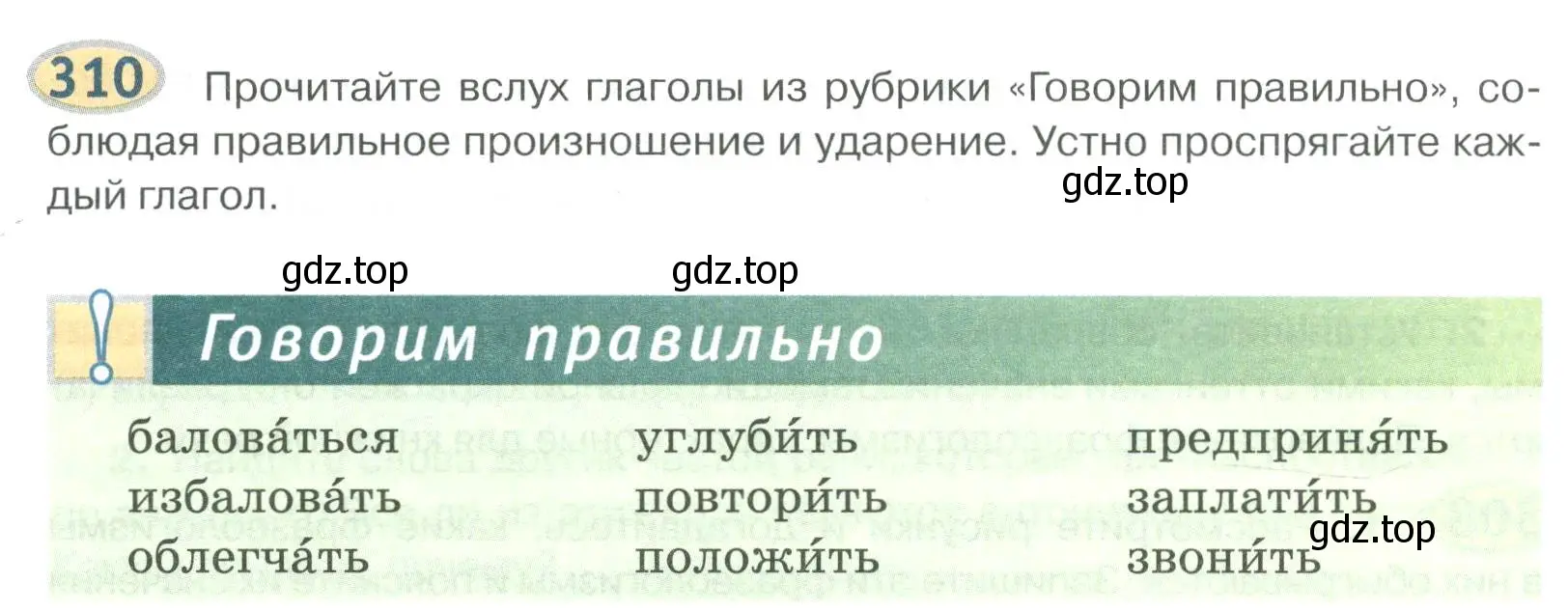 Условие номер 310 (страница 242) гдз по русскому языку 6 класс Быстрова, Кибирева, учебник 1 часть