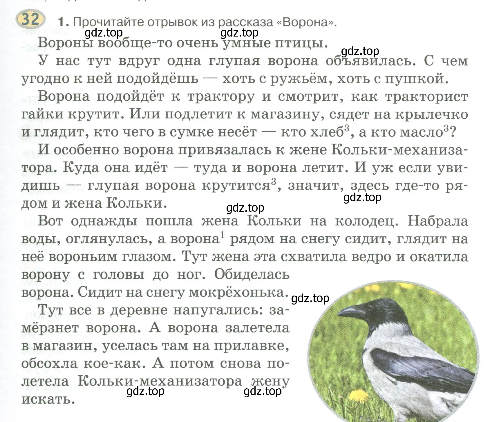 Условие номер 32 (страница 37) гдз по русскому языку 6 класс Быстрова, Кибирева, учебник 1 часть