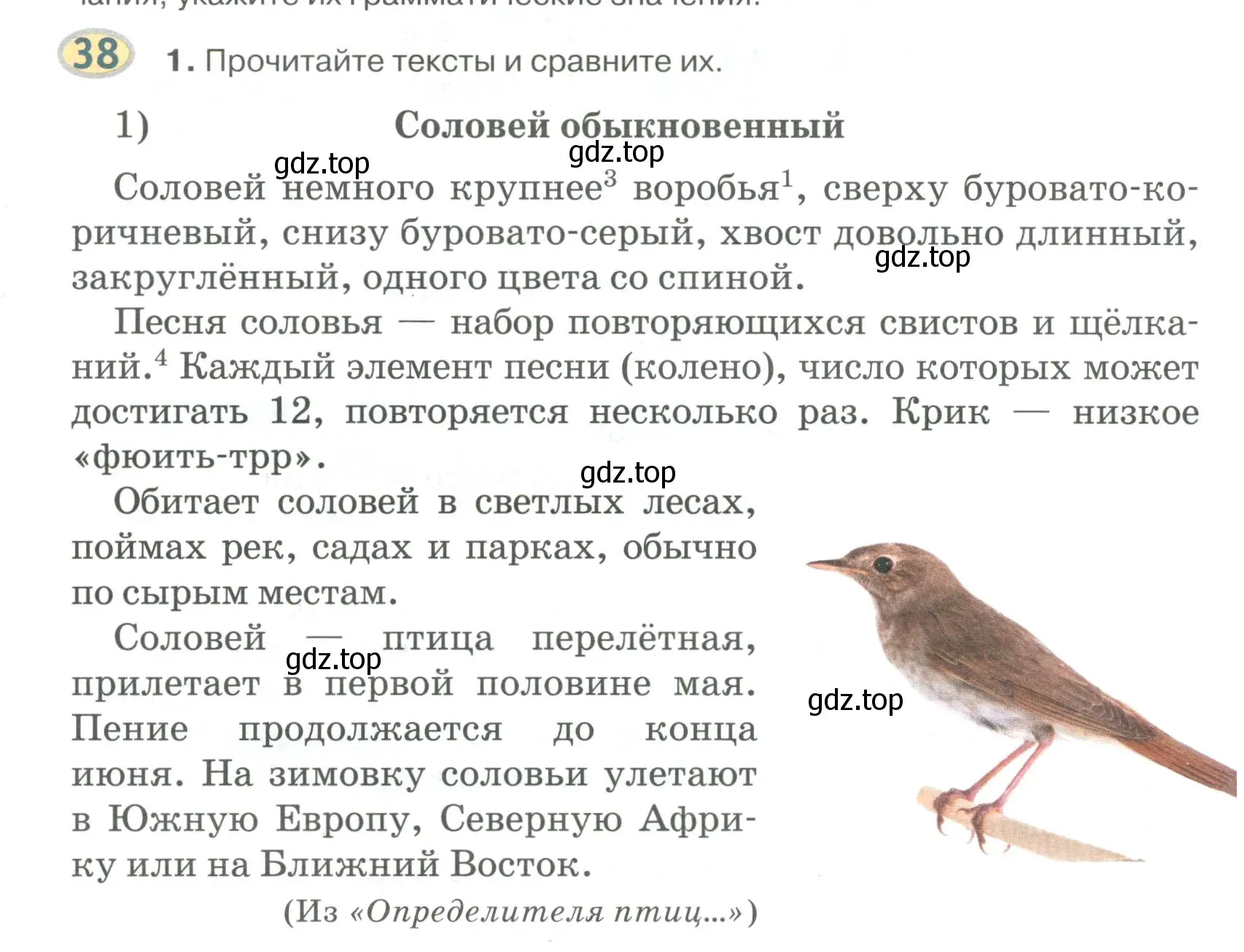 Условие номер 38 (страница 45) гдз по русскому языку 6 класс Быстрова, Кибирева, учебник 1 часть