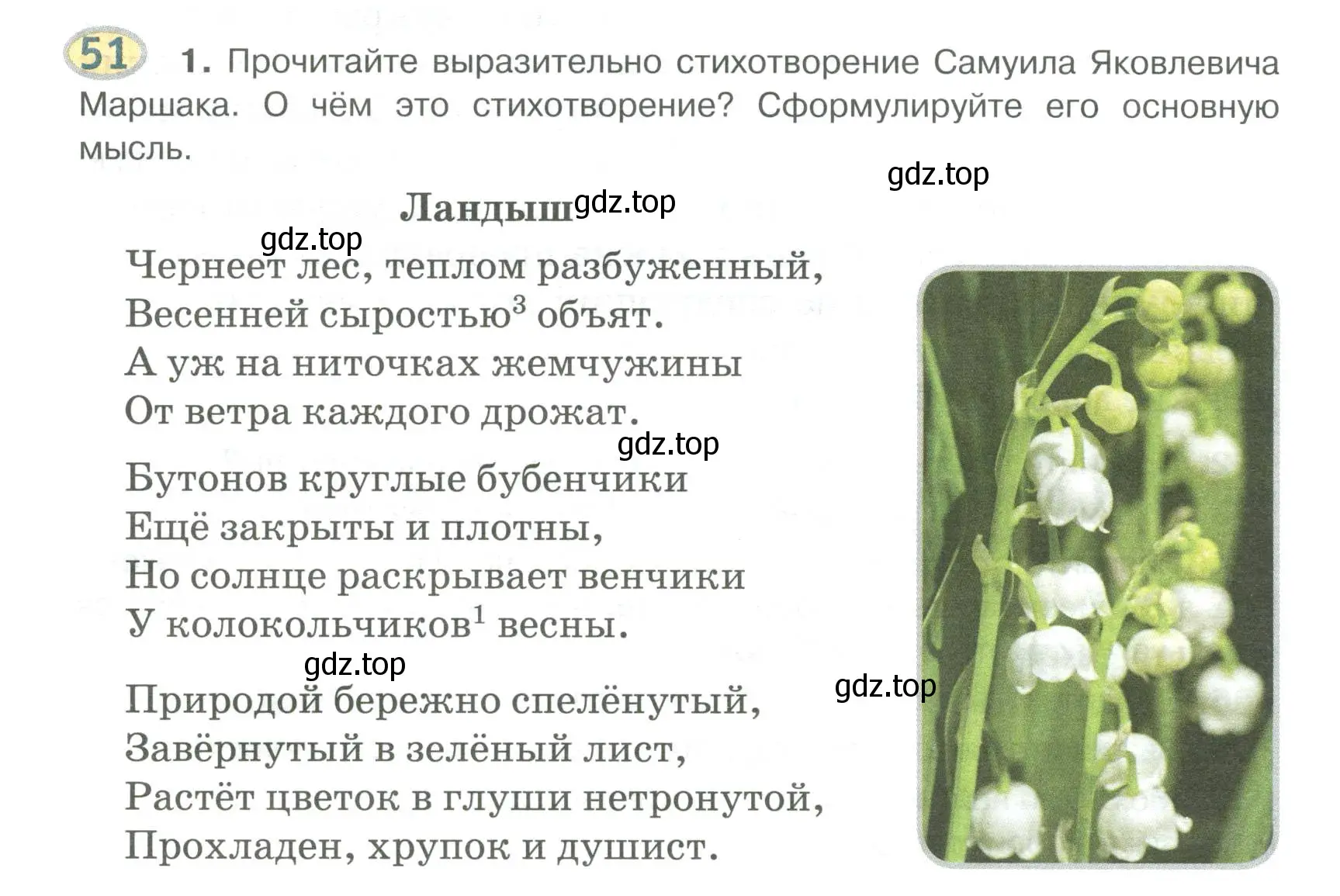 Условие номер 51 (страница 60) гдз по русскому языку 6 класс Быстрова, Кибирева, учебник 1 часть