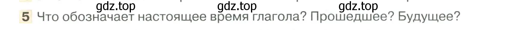 Условие номер 5 (страница 250) гдз по русскому языку 6 класс Быстрова, Кибирева, учебник 1 часть