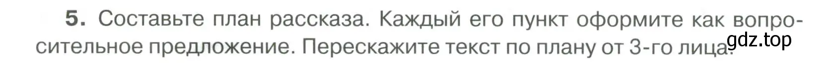 Условие номер 5 (страница 39) гдз по русскому языку 6 класс Быстрова, Кибирева, учебник 2 часть