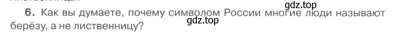 Условие номер 6 (страница 69) гдз по русскому языку 6 класс Быстрова, Кибирева, учебник 2 часть