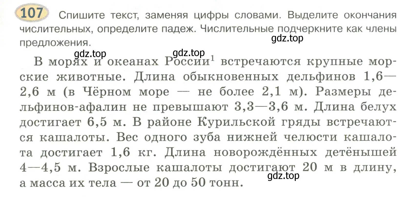 Условие номер 107 (страница 83) гдз по русскому языку 6 класс Быстрова, Кибирева, учебник 2 часть