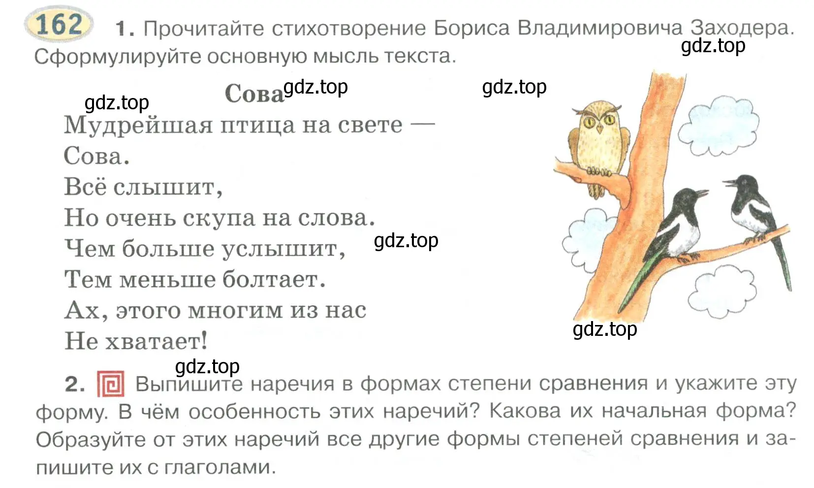 Условие номер 162 (страница 127) гдз по русскому языку 6 класс Быстрова, Кибирева, учебник 2 часть