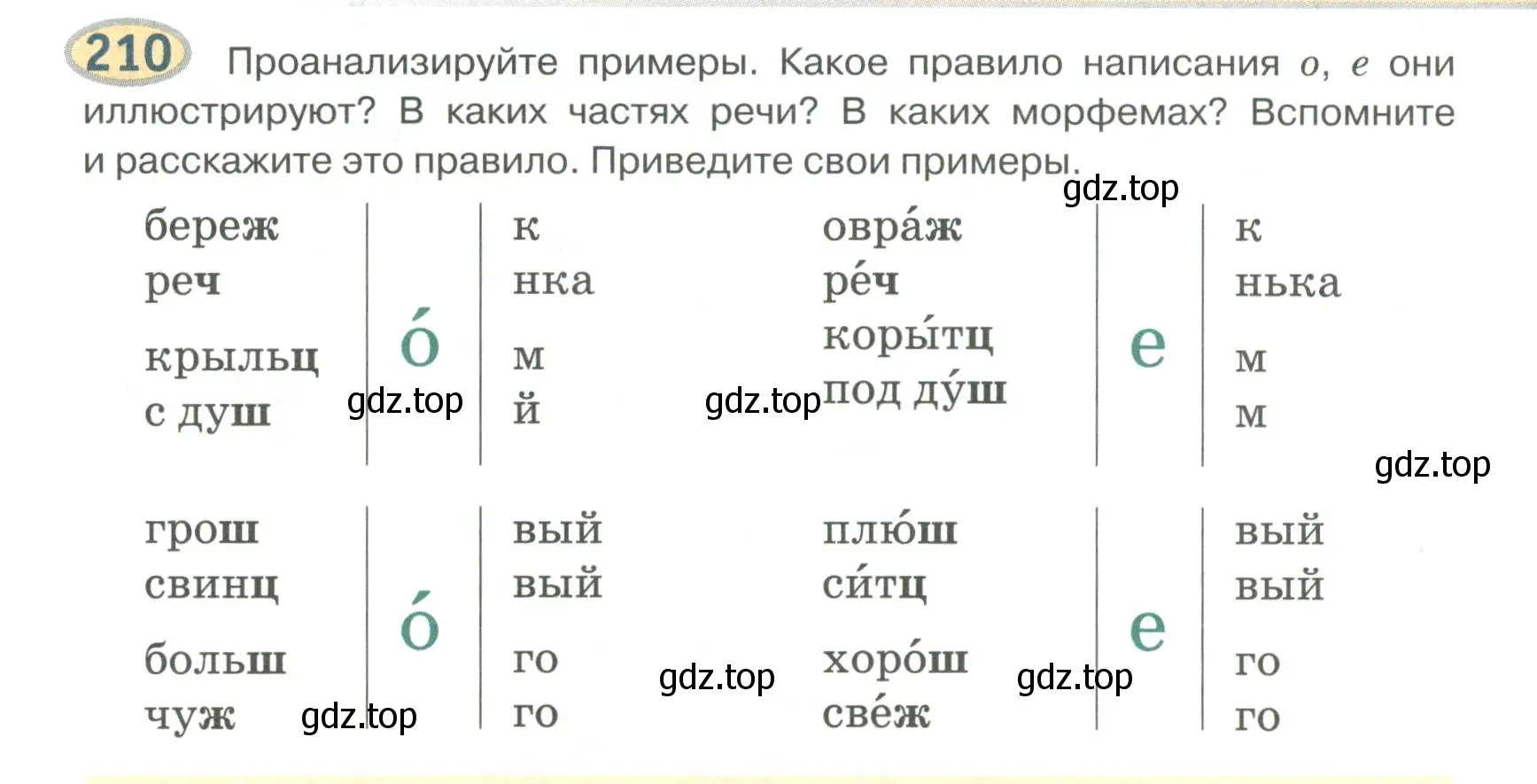 Условие номер 210 (страница 156) гдз по русскому языку 6 класс Быстрова, Кибирева, учебник 2 часть