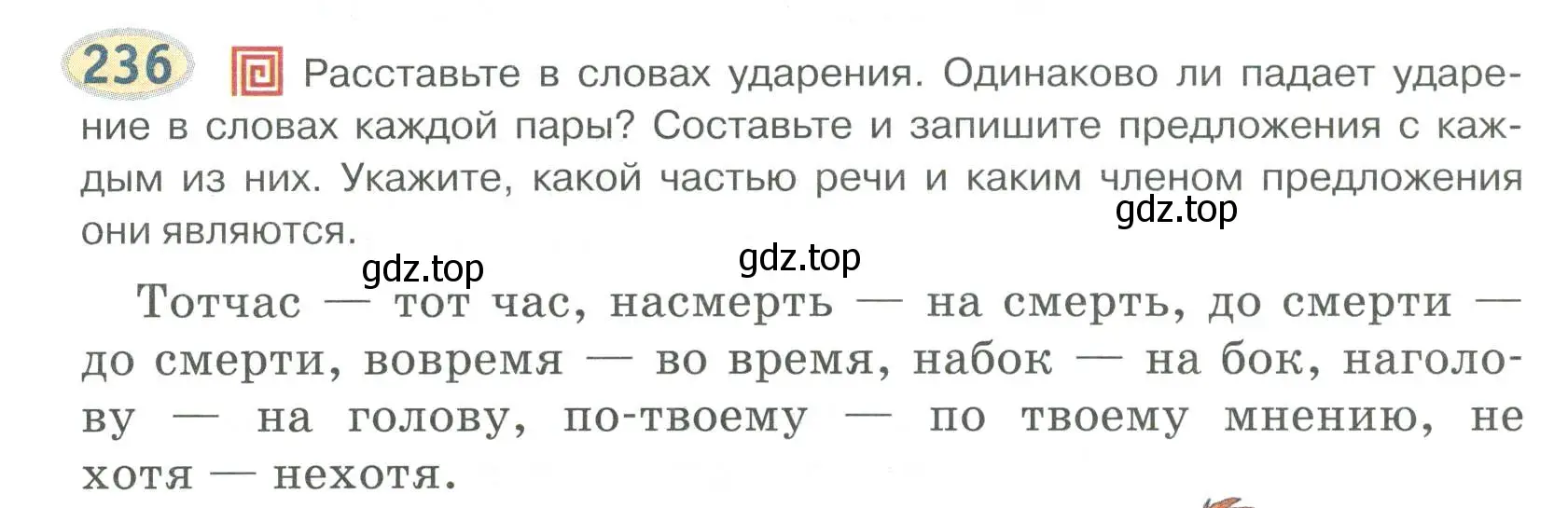 Условие номер 236 (страница 171) гдз по русскому языку 6 класс Быстрова, Кибирева, учебник 2 часть