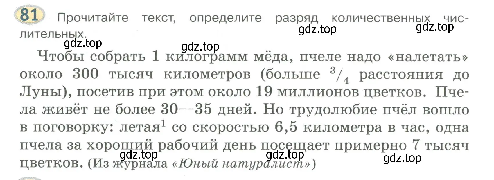 Условие номер 81 (страница 66) гдз по русскому языку 6 класс Быстрова, Кибирева, учебник 2 часть