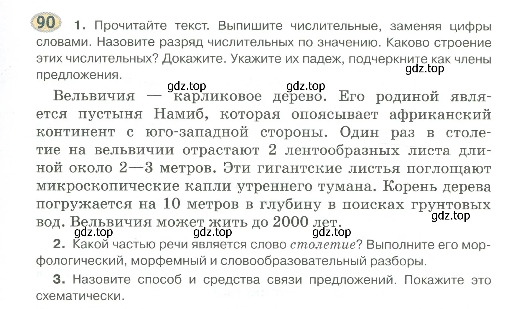 Условие номер 90 (страница 73) гдз по русскому языку 6 класс Быстрова, Кибирева, учебник 2 часть