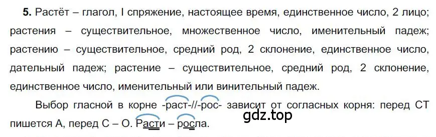 Решение номер 5 (страница 138) гдз по русскому языку 6 класс Быстрова, Кибирева, учебник 1 часть