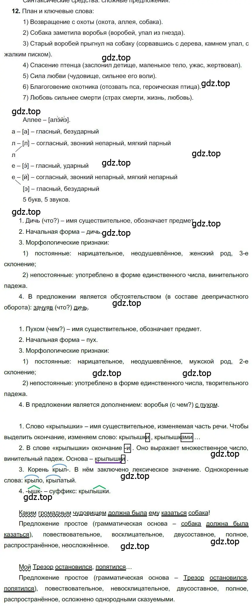 Решение номер 12 (страница 175) гдз по русскому языку 6 класс Быстрова, Кибирева, учебник 1 часть