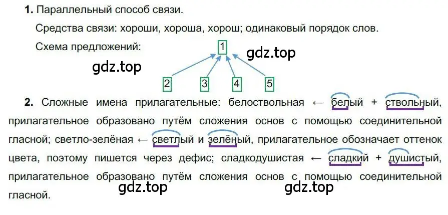 Решение номер 12 (страница 14) гдз по русскому языку 6 класс Быстрова, Кибирева, учебник 1 часть