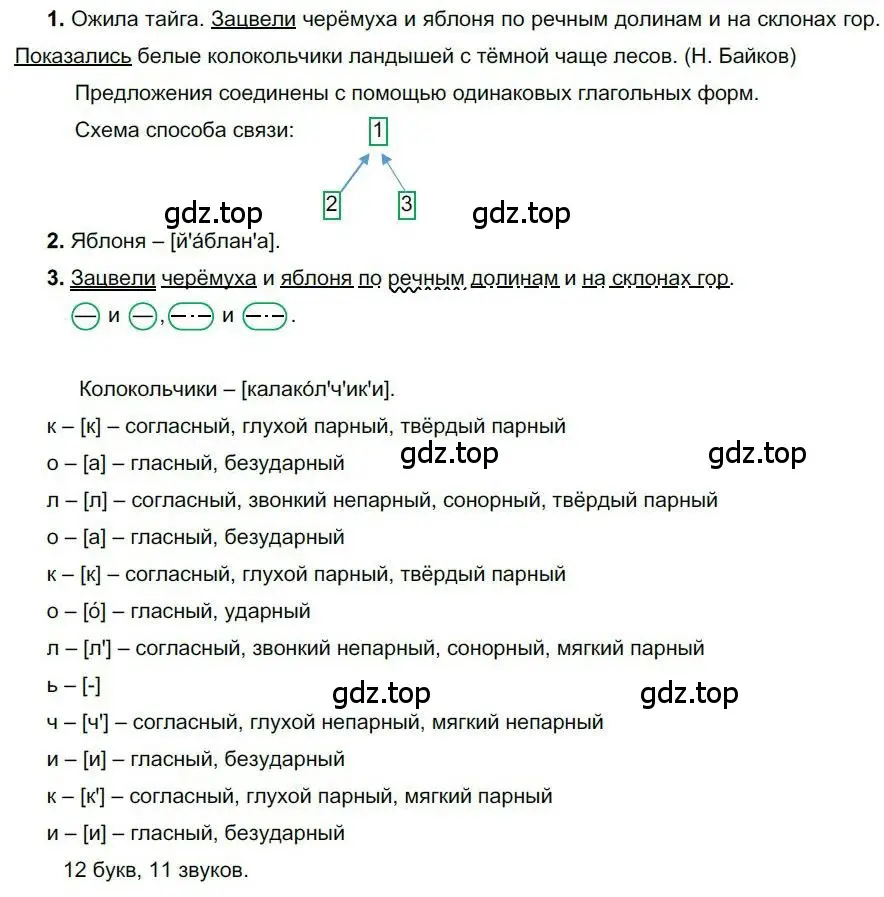 Решение номер 13 (страница 14) гдз по русскому языку 6 класс Быстрова, Кибирева, учебник 1 часть