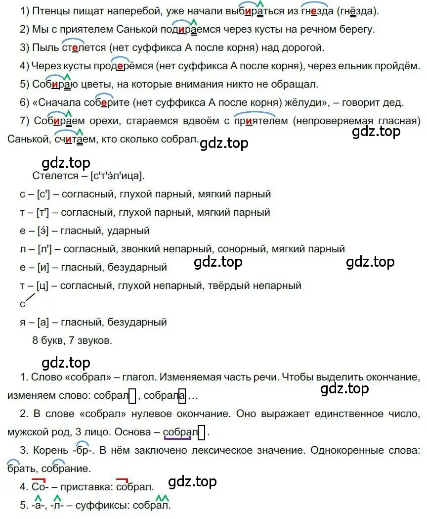 Решение номер 162 (страница 143) гдз по русскому языку 6 класс Быстрова, Кибирева, учебник 1 часть