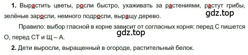 Решение номер 164 (страница 144) гдз по русскому языку 6 класс Быстрова, Кибирева, учебник 1 часть