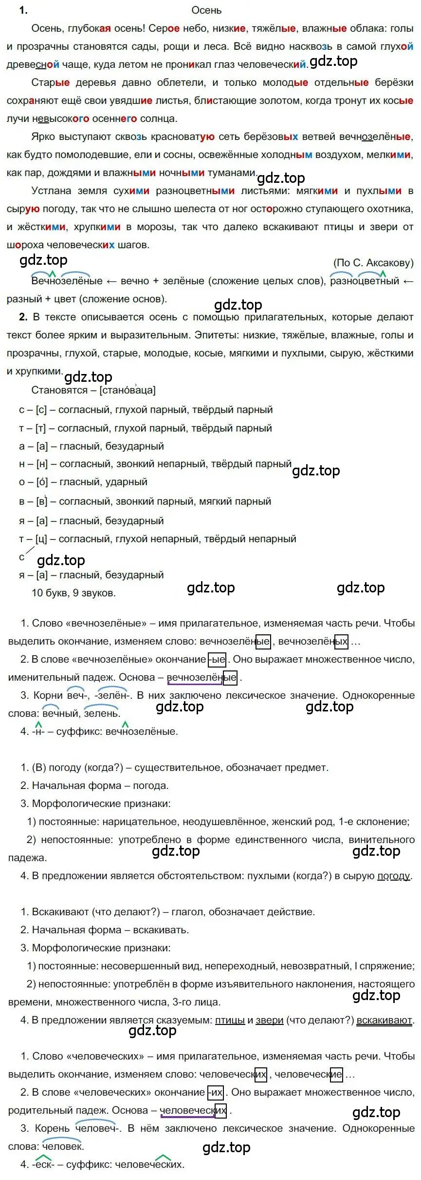 Решение номер 256 (страница 204) гдз по русскому языку 6 класс Быстрова, Кибирева, учебник 1 часть