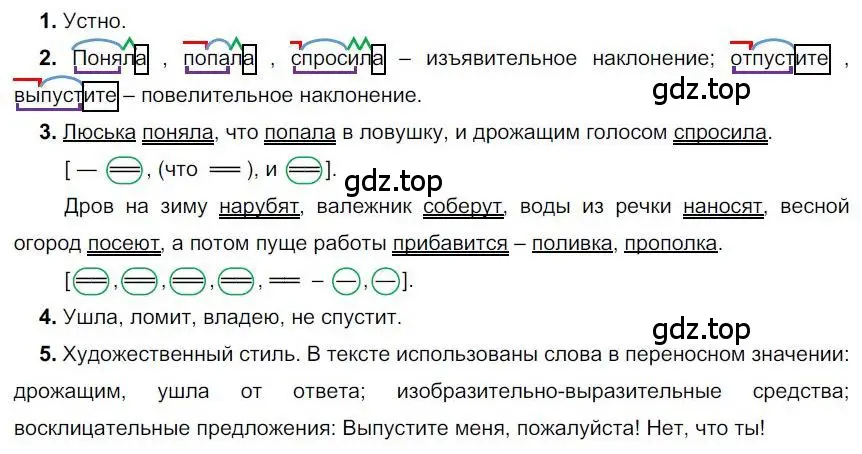 Решение номер 318 (страница 246) гдз по русскому языку 6 класс Быстрова, Кибирева, учебник 1 часть