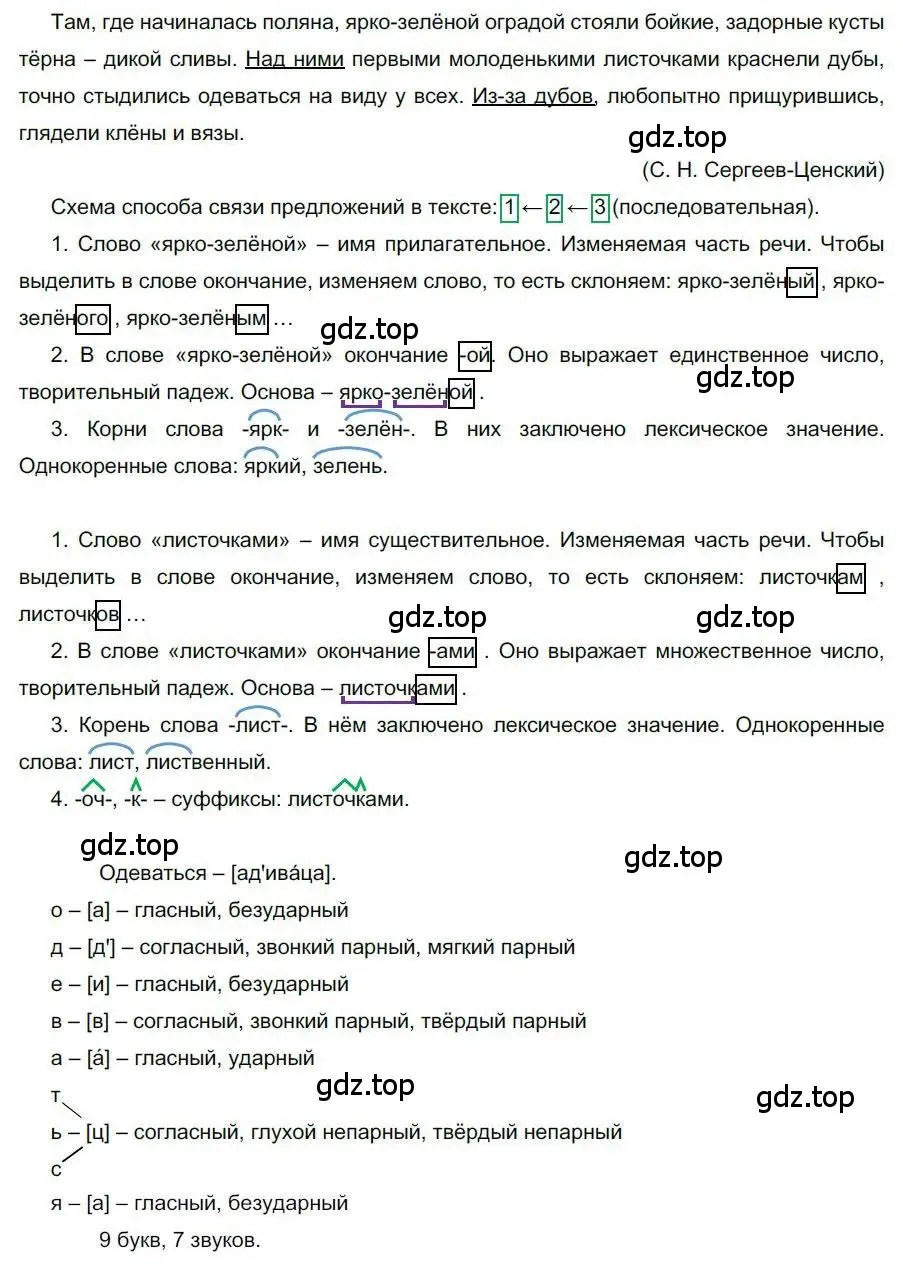 Решение номер 9 (страница 12) гдз по русскому языку 6 класс Быстрова, Кибирева, учебник 1 часть