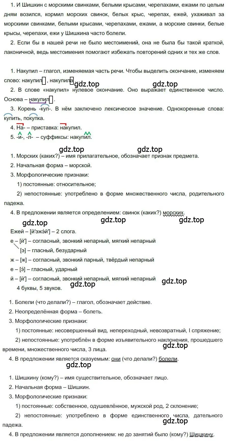 Решение номер 3 (страница 5) гдз по русскому языку 6 класс Быстрова, Кибирева, учебник 2 часть