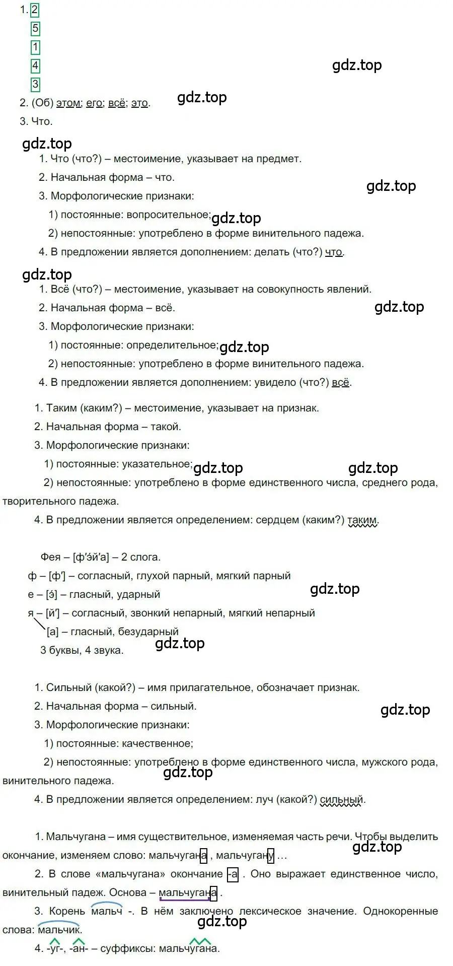 Решение номер 64 (страница 50) гдз по русскому языку 6 класс Быстрова, Кибирева, учебник 2 часть