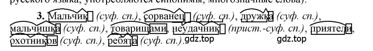 Решение 2. номер 3 (страница 163) гдз по русскому языку 6 класс Быстрова, Кибирева, учебник 1 часть