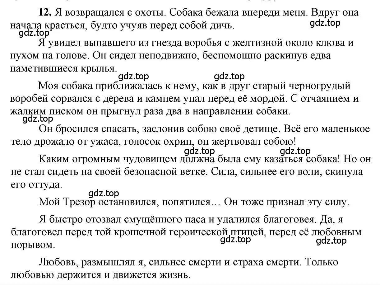 Решение 2. номер 12 (страница 175) гдз по русскому языку 6 класс Быстрова, Кибирева, учебник 1 часть