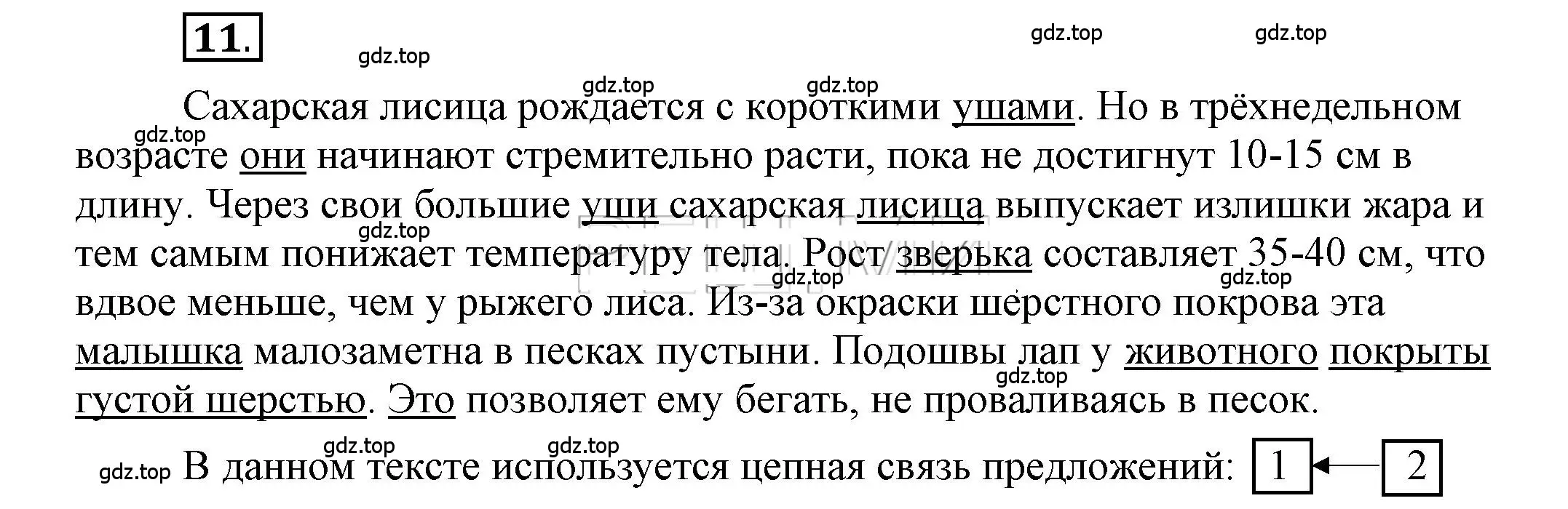 Решение 2. номер 11 (страница 13) гдз по русскому языку 6 класс Быстрова, Кибирева, учебник 1 часть