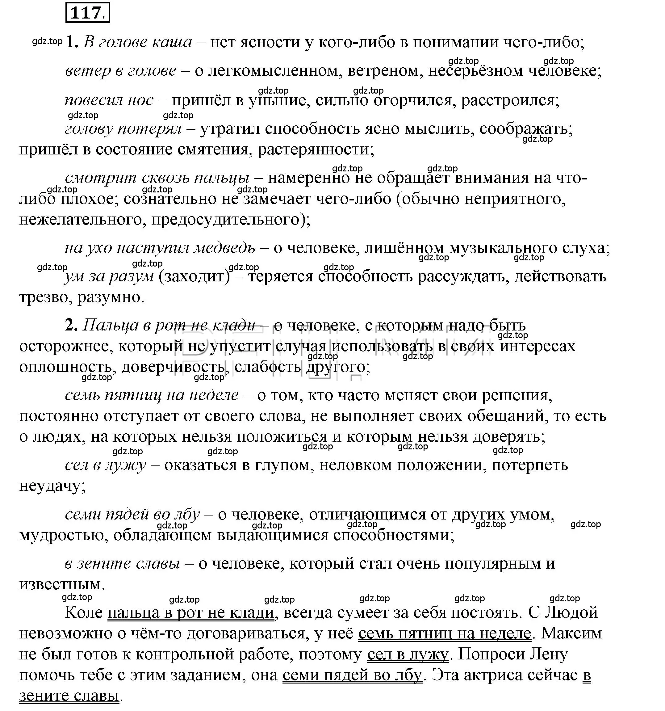 Решение 2. номер 117 (страница 119) гдз по русскому языку 6 класс Быстрова, Кибирева, учебник 1 часть