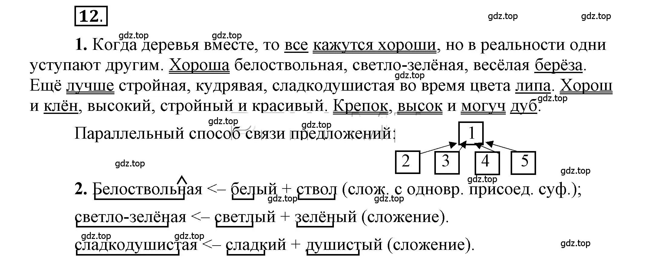 Решение 2. номер 12 (страница 14) гдз по русскому языку 6 класс Быстрова, Кибирева, учебник 1 часть