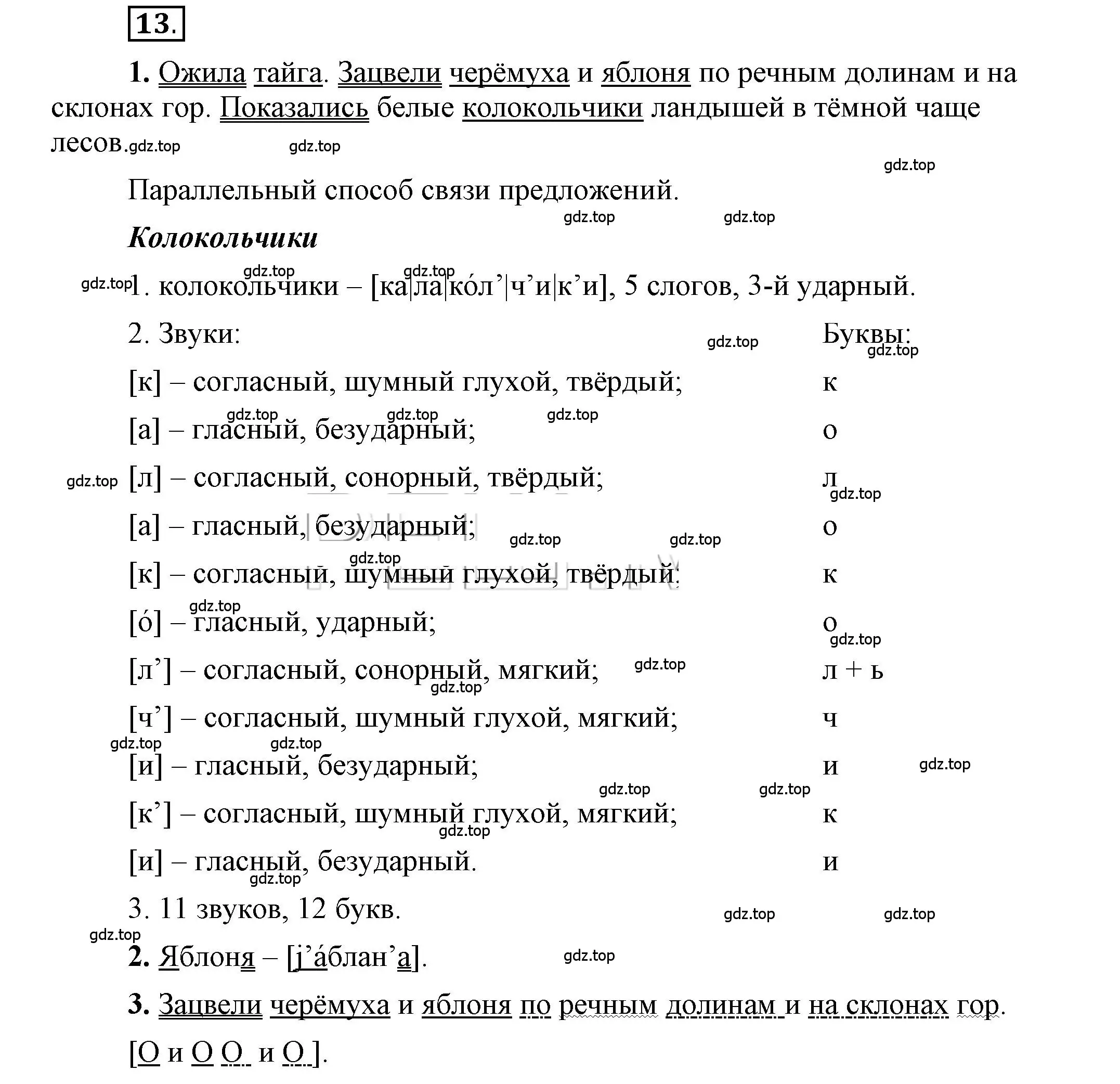 Решение 2. номер 13 (страница 14) гдз по русскому языку 6 класс Быстрова, Кибирева, учебник 1 часть