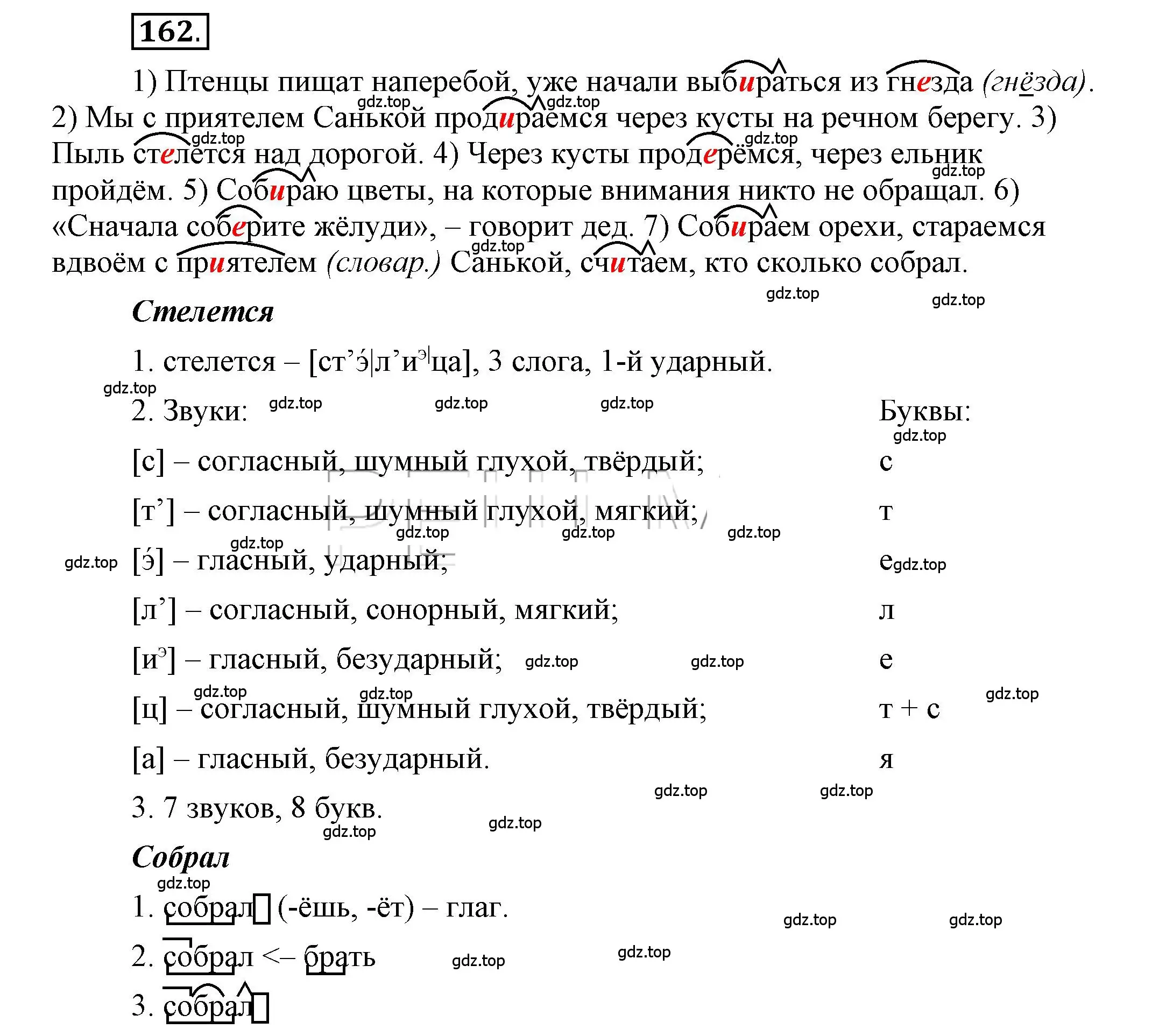 Решение 2. номер 162 (страница 143) гдз по русскому языку 6 класс Быстрова, Кибирева, учебник 1 часть