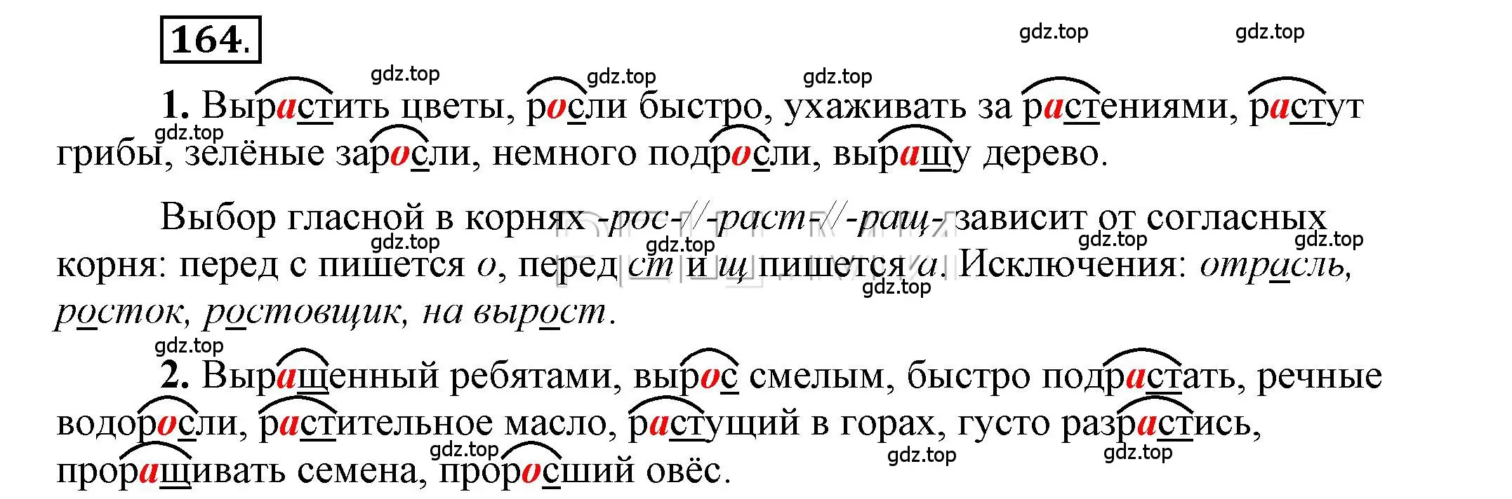 Решение 2. номер 164 (страница 144) гдз по русскому языку 6 класс Быстрова, Кибирева, учебник 1 часть