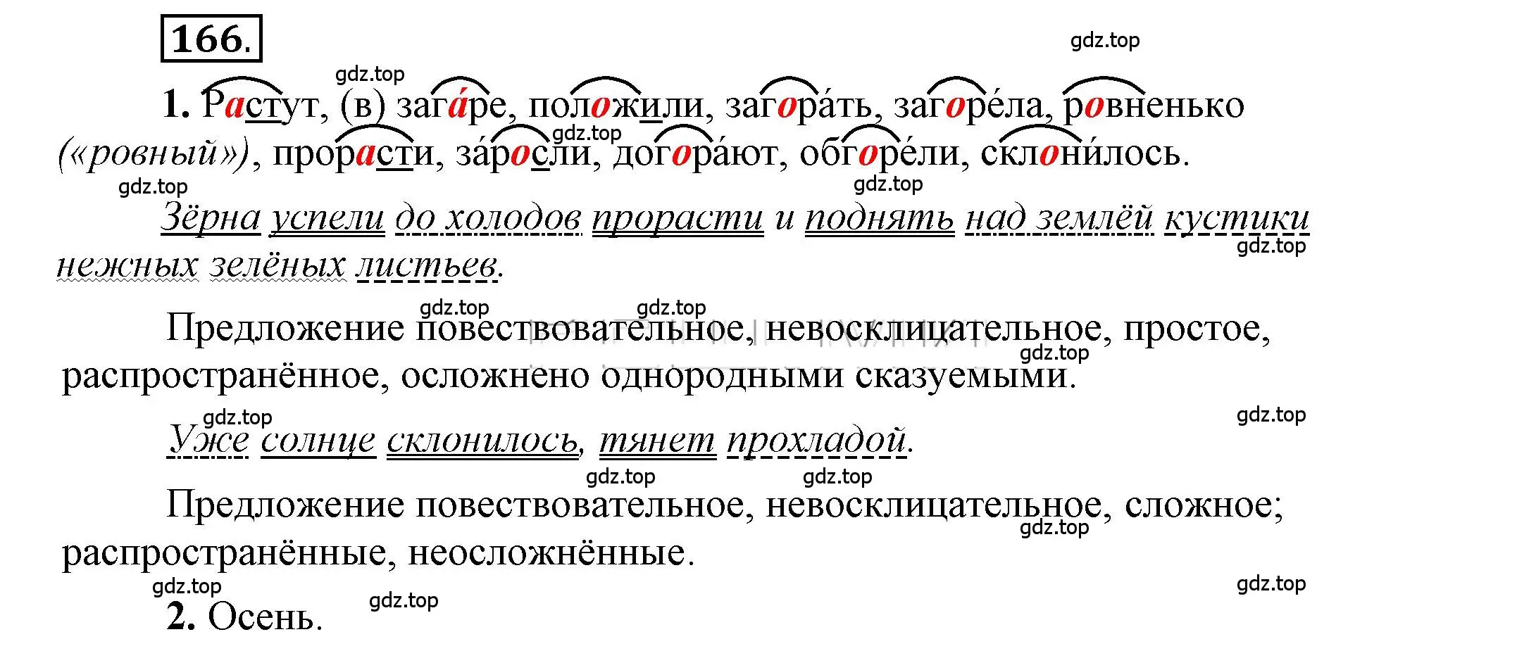 Решение 2. номер 166 (страница 145) гдз по русскому языку 6 класс Быстрова, Кибирева, учебник 1 часть