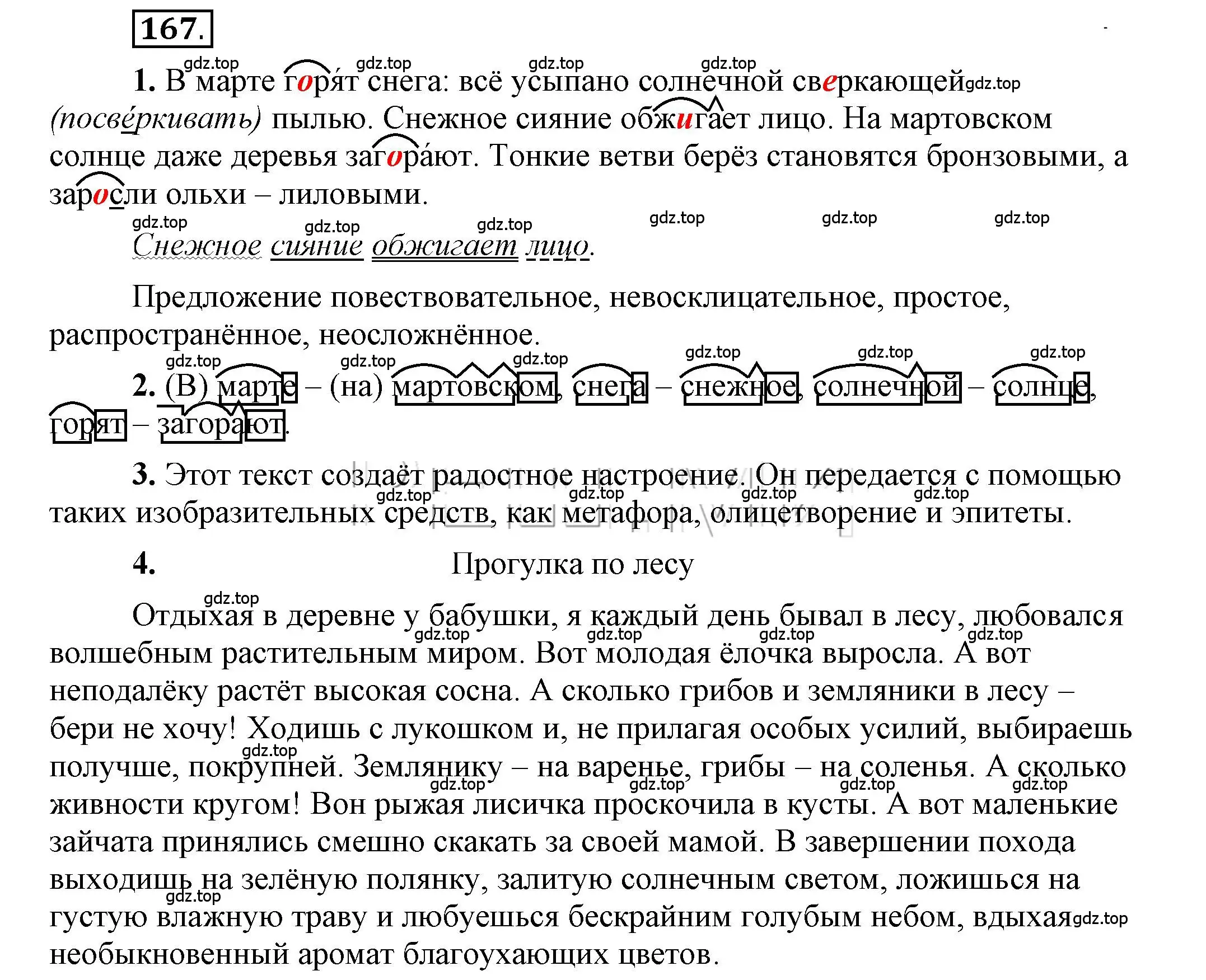 Решение 2. номер 167 (страница 145) гдз по русскому языку 6 класс Быстрова, Кибирева, учебник 1 часть