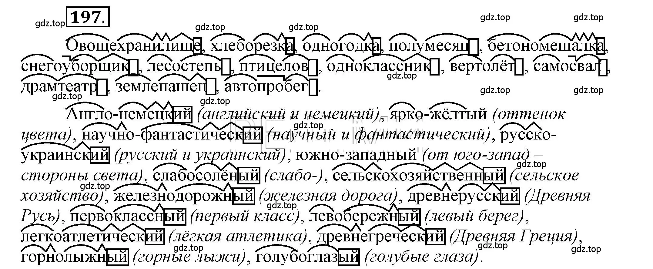 Решение 2. номер 197 (страница 160) гдз по русскому языку 6 класс Быстрова, Кибирева, учебник 1 часть