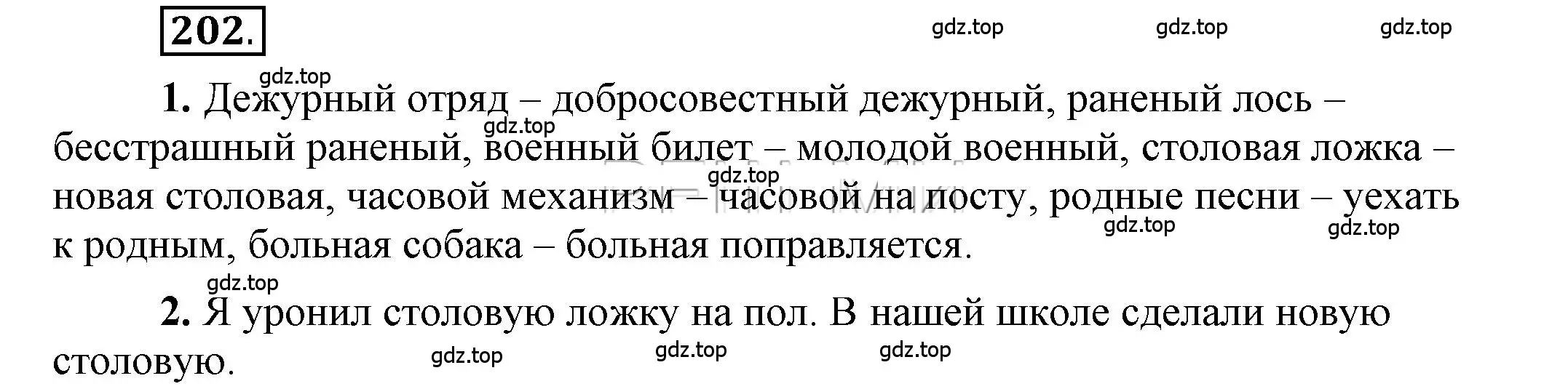 Решение 2. номер 202 (страница 162) гдз по русскому языку 6 класс Быстрова, Кибирева, учебник 1 часть