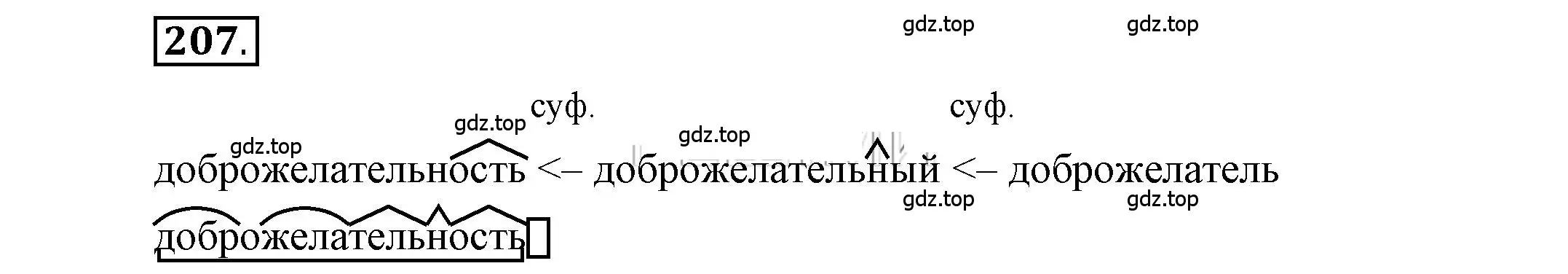 Решение 2. номер 207 (страница 169) гдз по русскому языку 6 класс Быстрова, Кибирева, учебник 1 часть