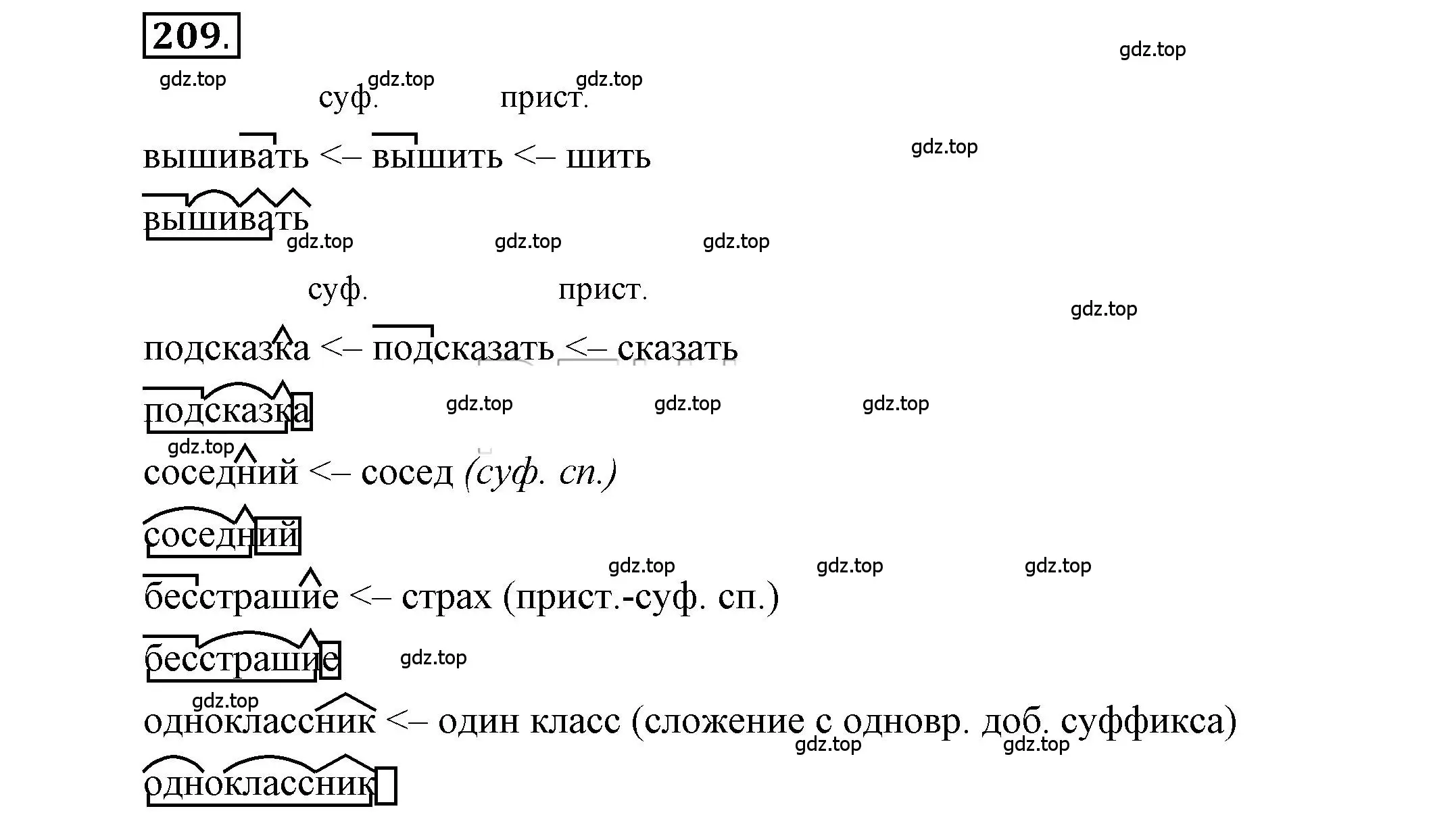 Решение 2. номер 209 (страница 169) гдз по русскому языку 6 класс Быстрова, Кибирева, учебник 1 часть