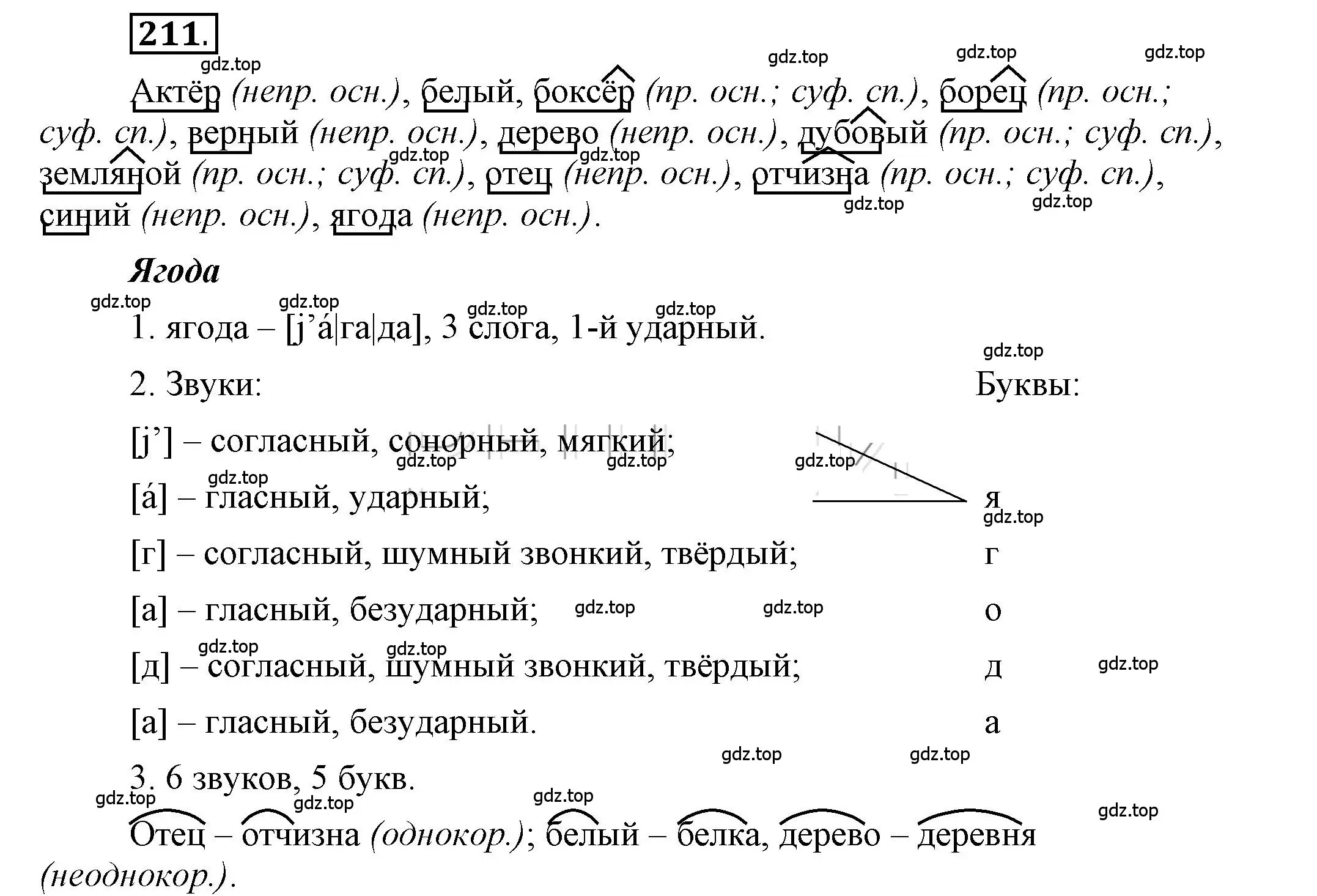 Решение 2. номер 211 (страница 171) гдз по русскому языку 6 класс Быстрова, Кибирева, учебник 1 часть