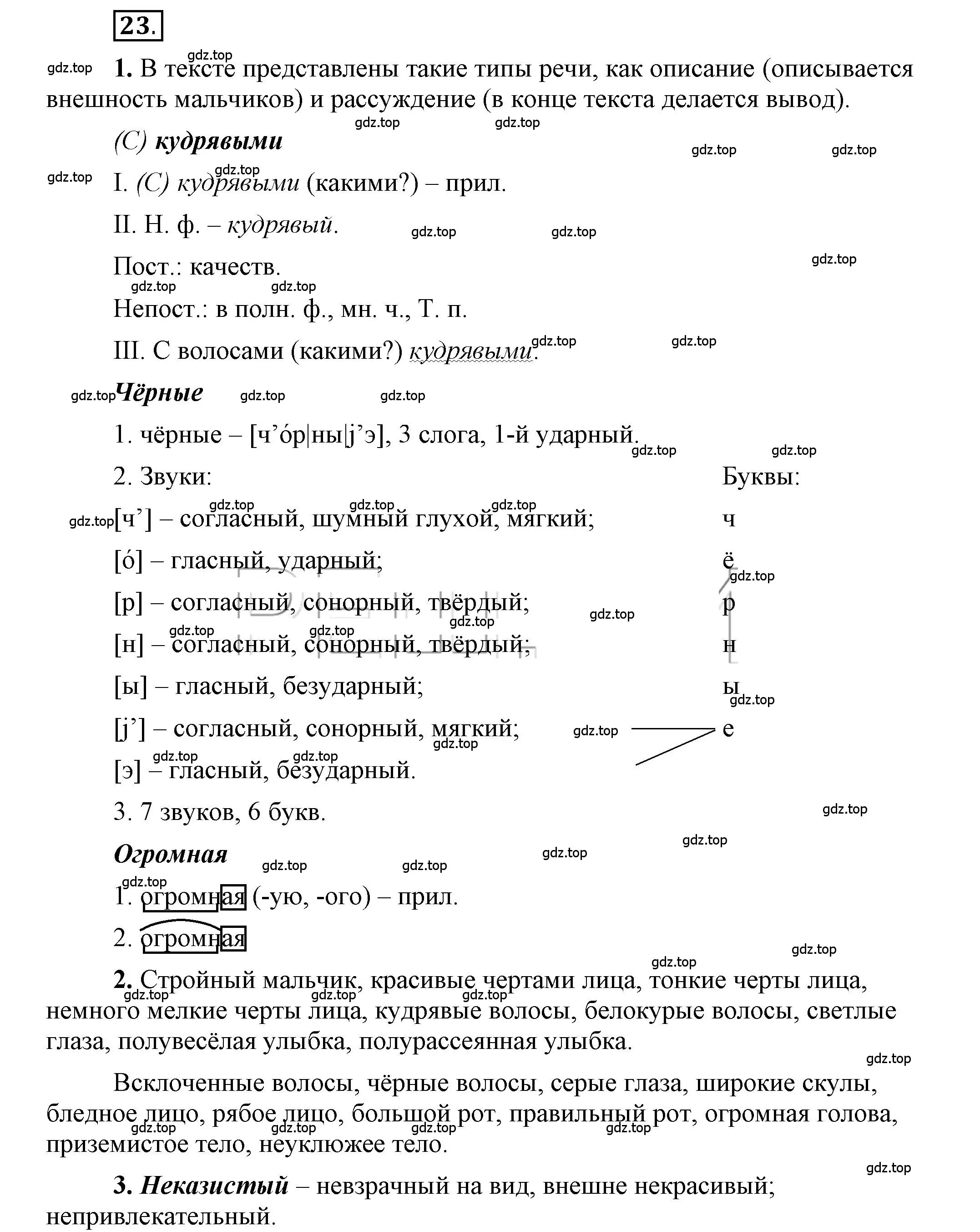 Решение 2. номер 23 (страница 24) гдз по русскому языку 6 класс Быстрова, Кибирева, учебник 1 часть