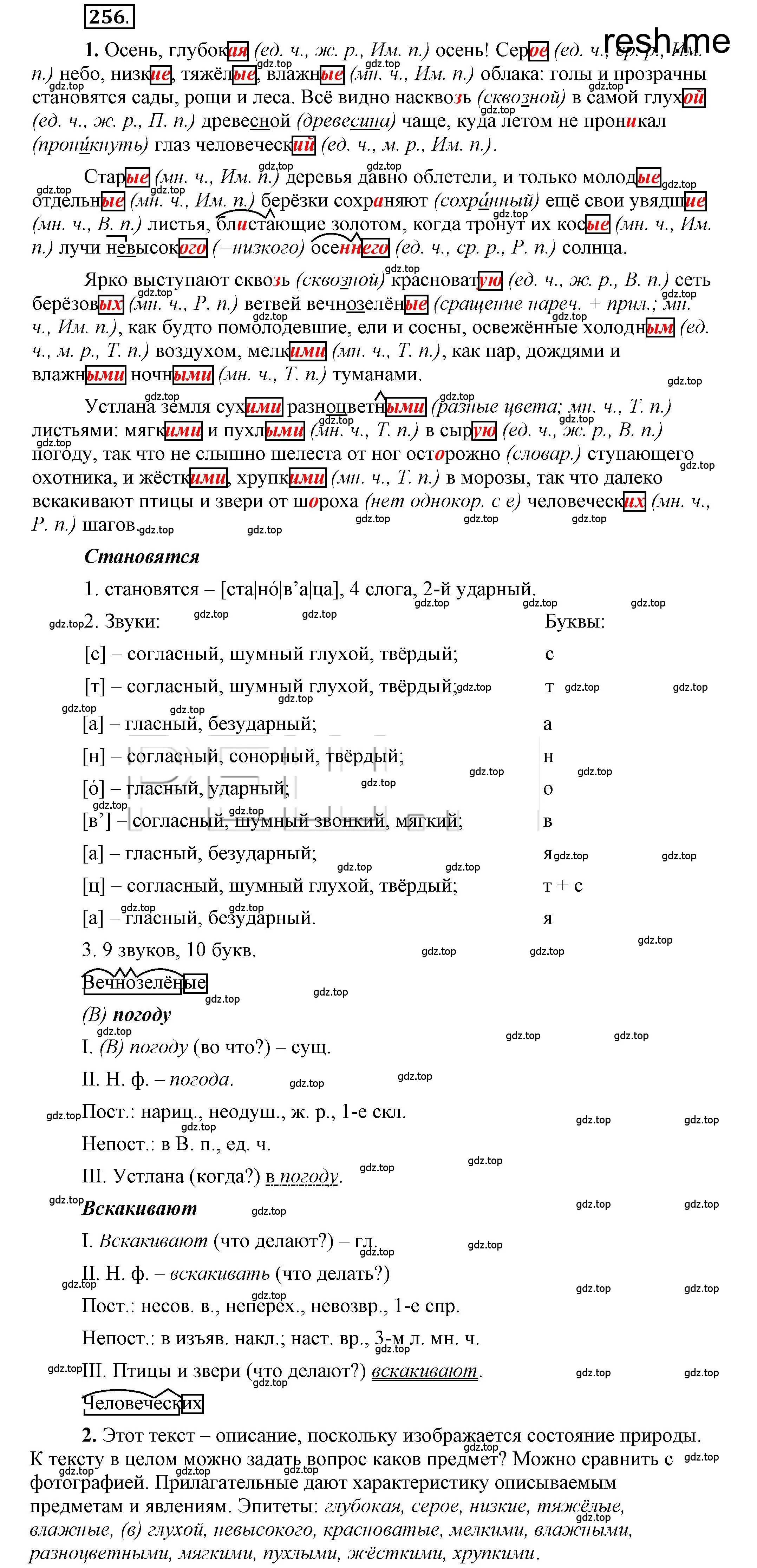 Решение 2. номер 256 (страница 204) гдз по русскому языку 6 класс Быстрова, Кибирева, учебник 1 часть